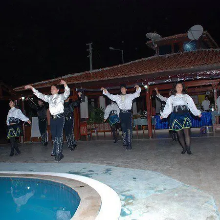 Tolay Hotel 3*